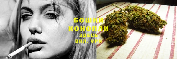хмурый Белокуриха