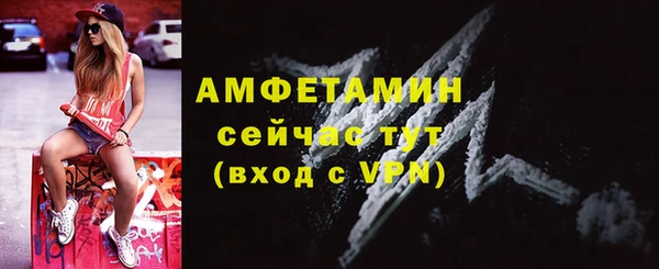 хмурый Белокуриха