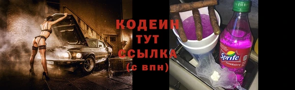 хмурый Белокуриха