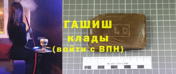 хмурый Белокуриха