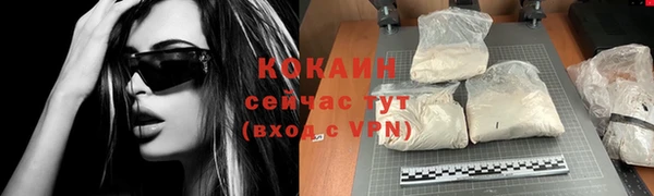 хмурый Белокуриха