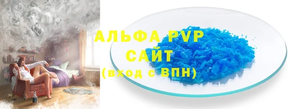 хмурый Белокуриха