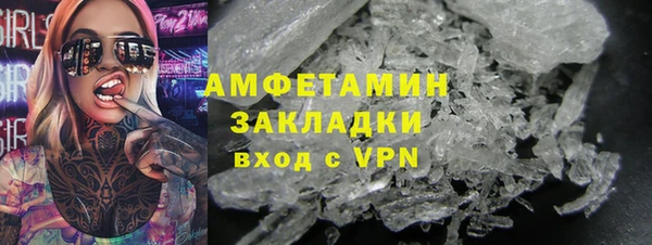 хмурый Белокуриха
