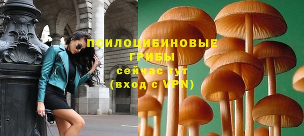 тгк Беломорск