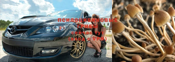 тгк Беломорск