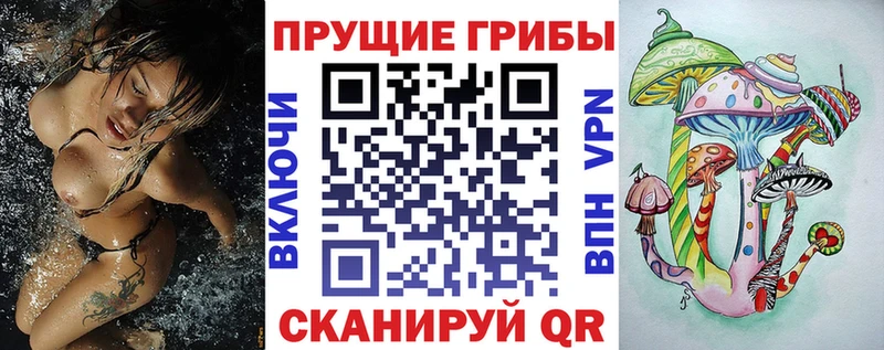 Купить  Весьегонск  Галлюциногенные грибы прущие грибы 